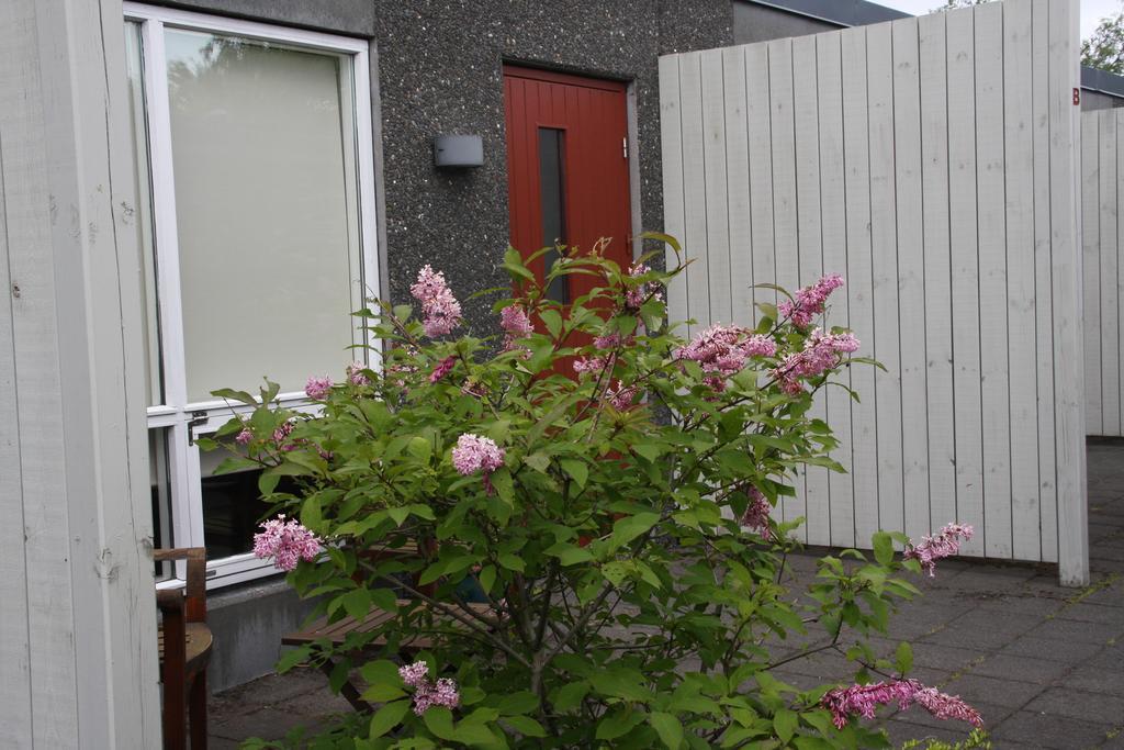 Frumskogar Guesthouse & Apartments Hveragerdi Kültér fotó