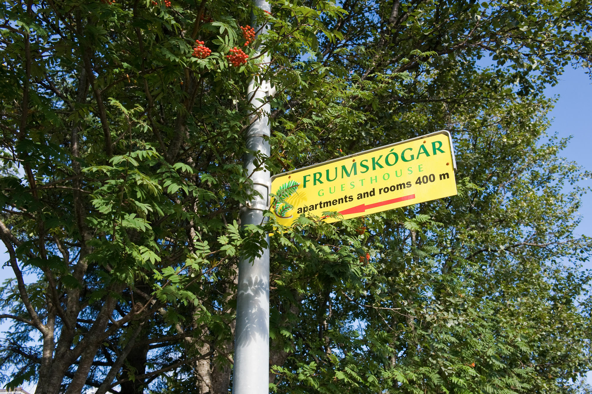 Frumskogar Guesthouse & Apartments Hveragerdi Kültér fotó
